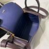wsxc1740758147408_7 Lindy 19CM Swift Leather Gold Hardware 46 EBONE Global Sales