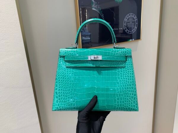 wsxc1757783338960_0 Top Handmade Birkin 25CM O6 Silver Hardware America Alligator
