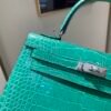 wsxc1757783338960_2 Top Handmade Birkin 25CM O6 Silver Hardware America Alligator