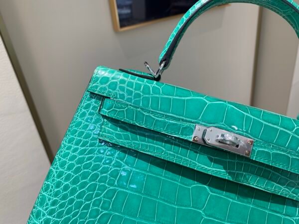 wsxc1757783338960_2 Top Handmade Birkin 25CM O6 Silver Hardware America Alligator