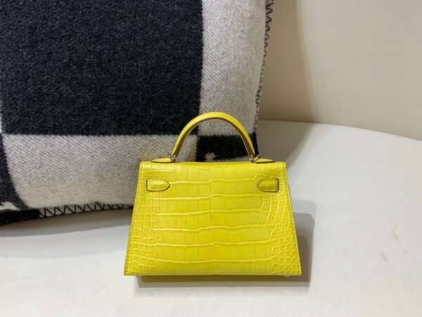 wsxc1760032426020_1 Mini Kelly 19CM 9N Citron Top Handmade Silver Hardware