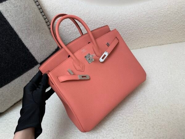 Full Handmade Birkin 25cm U5 Rose eLipstick Togo Leather SHW