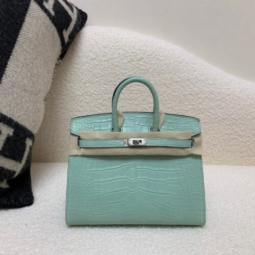 wsxc1765379462547_0 Original Packaging Birkin 20 6U Vert Dfau Matte Alligator Silver Hardware