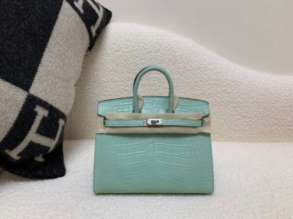 wsxc1765379462547_0 Original Packaging Birkin 20 6U Vert Dfau Matte Alligator Silver Hardware