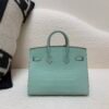 wsxc1765379462805_1 Original Packaging Birkin 20 6U Vert Dfau Matte Alligator Silver Hardware