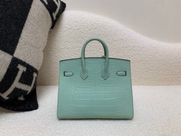 wsxc1765379462805_1 Original Packaging Birkin 20 6U Vert Dfau Matte Alligator Silver Hardware