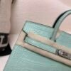 wsxc1765379463562_2 Original Packaging Birkin 20 6U Vert Dfau Matte Alligator Silver Hardware