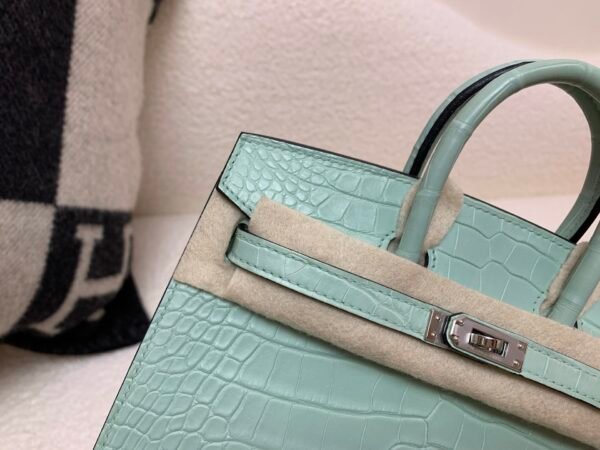 wsxc1765379463562_2 Original Packaging Birkin 20 6U Vert Dfau Matte Alligator Silver Hardware