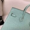 wsxc1765379463813_3 Original Packaging Birkin 20 6U Vert Dfau Matte Alligator Silver Hardware