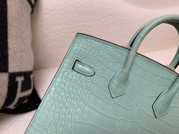 wsxc1765379463813_3 Original Packaging Birkin 20 6U Vert Dfau Matte Alligator Silver Hardware
