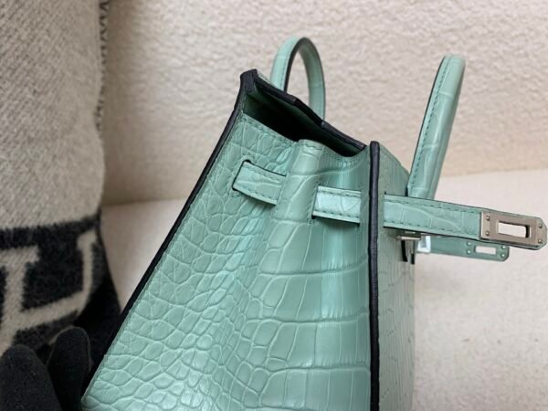 wsxc1765379464346_4 Original Packaging Birkin 20 6U Vert Dfau Matte Alligator Silver Hardware