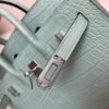 wsxc1765379464673_5 Original Packaging Birkin 20 6U Vert Dfau Matte Alligator Silver Hardware