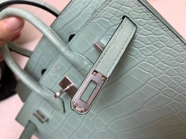 wsxc1765379464673_5 Original Packaging Birkin 20 6U Vert Dfau Matte Alligator Silver Hardware