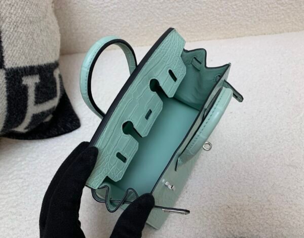 wsxc1765379465758_7 Original Packaging Birkin 20 6U Vert Dfau Matte Alligator Silver Hardware