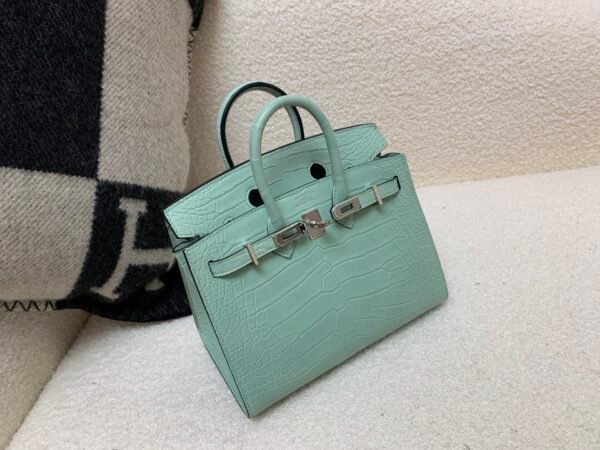 wsxc1765379466559_8 Original Packaging Birkin 20 6U Vert Dfau Matte Alligator Silver Hardware