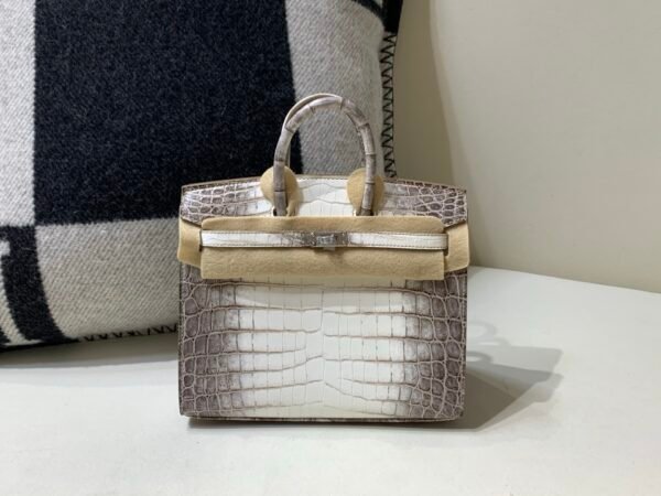 wsxc1765831239812_0 Full Handmade Birkin 20CM 01 Himalayan Alligator Leather Silver Hardware