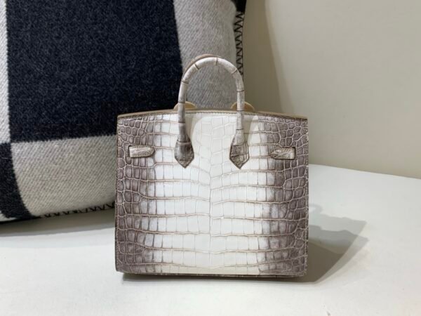 wsxc1765831239812_1 Full Handmade Birkin 20CM 01 Himalayan Alligator Leather Silver Hardware