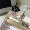 wsxc1765831239812_2 Full Handmade Birkin 20CM 01 Himalayan Alligator Leather Silver Hardware