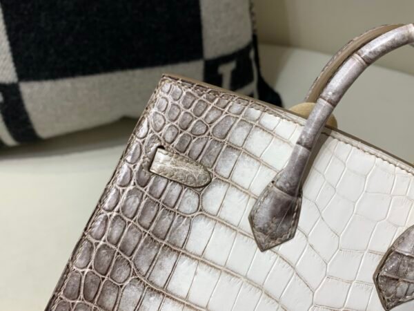 wsxc1765831239812_3 Full Handmade Birkin 20CM 01 Himalayan Alligator Leather Silver Hardware