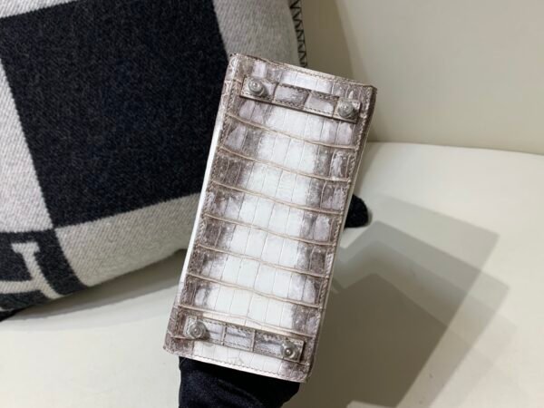 wsxc1765831239812_4 Full Handmade Birkin 20CM 01 Himalayan Alligator Leather Silver Hardware