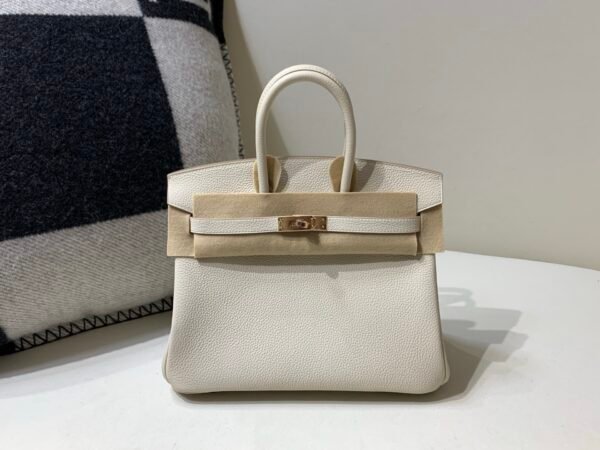 Top Quality Birkin 25cm 10 Carie Gold Hardware Birkin Price Togo Leather