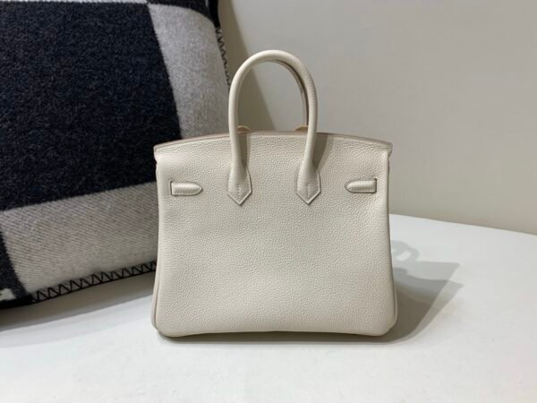 Top Quality Birkin 25cm 10 Carie Gold Hardware Birkin Price Togo Leather
