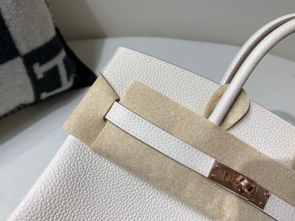 Top Quality Birkin 25cm 10 Carie Gold Hardware Birkin Price Togo Leather