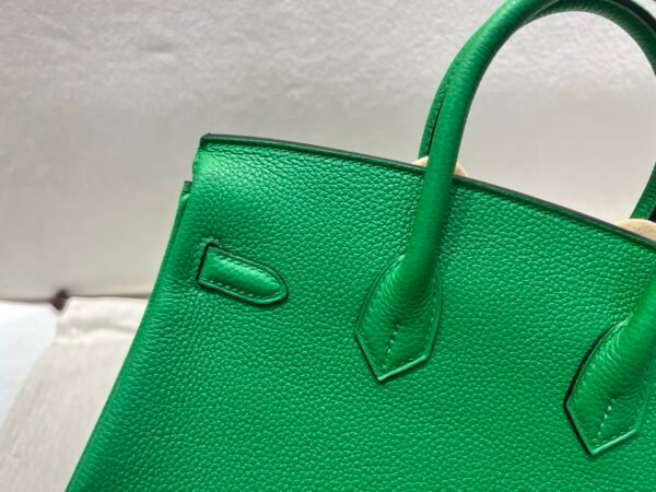 Birkin 25cm 1k Bamboo Togo Leather Handle bag sale Gold hardware
