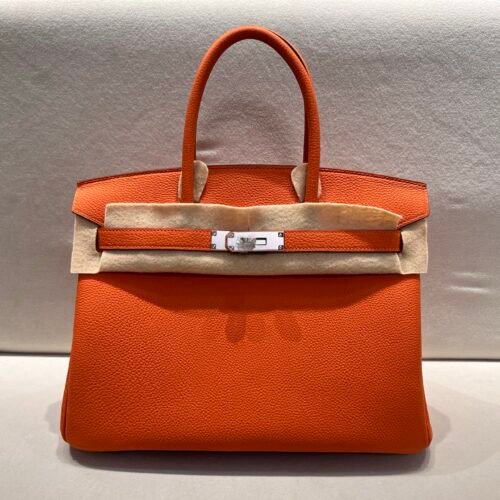 wsxc1766408006340_0 Top Quality Birkin 25cm 93 Orange Silver Hardware Birkin Price Togo Leather