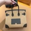 wsxc1767111057724_1 Special Order Birkin Cargo 25CM 0M Chai Canvas/ Swift Leather Silver Hardware