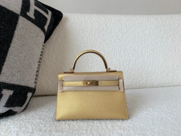 wsxc1767210431754_0-1 New color order Mini Kelly 19CM Gold Goat Leather GHW Full Handmade