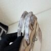 Full Handmade Birkin 25CM Himalaya Crocodile Leather Silver Hardware