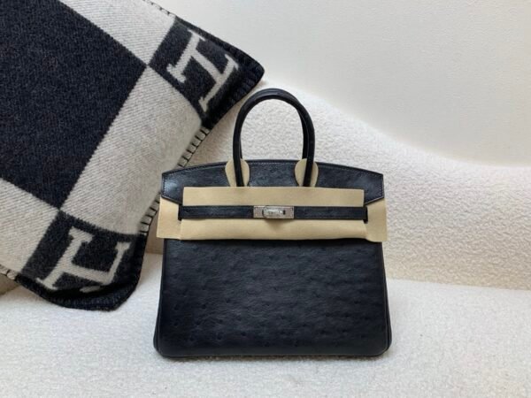 France Delivery Birkin 25CM 89 Nior Ostrich Leather Silver Hardware Full Handmade