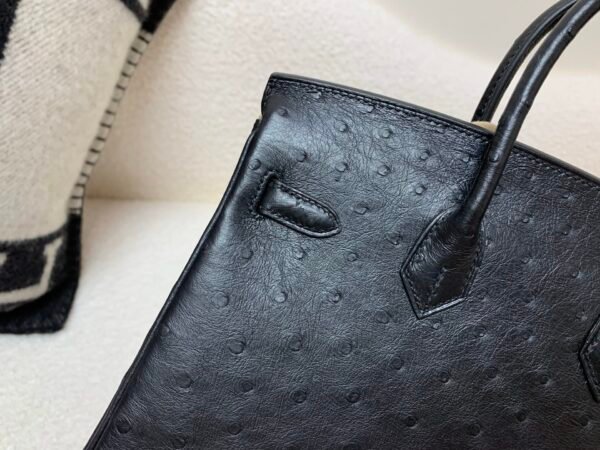 France Delivery Birkin 25CM 89 Nior Ostrich Leather Silver Hardware Full Handmade