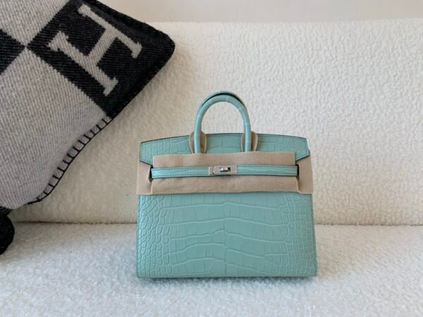 wsxc1767828239465_0-1 Full Handmade Original Packaging Birkin 20 6U Vert Dfau Matte Alligator Silver Hardware