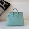 wsxc1767828239465_1 Full Handmade Original Packaging Birkin 20 6U Vert Dfau Matte Alligator Silver Hardware