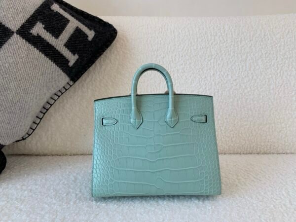 wsxc1767828239465_1 Full Handmade Original Packaging Birkin 20 6U Vert Dfau Matte Alligator Silver Hardware