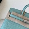 wsxc1767828239465_2 Full Handmade Original Packaging Birkin 20 6U Vert Dfau Matte Alligator Silver Hardware