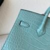 wsxc1767828239845_3 Full Handmade Original Packaging Birkin 20 6U Vert Dfau Matte Alligator Silver Hardware