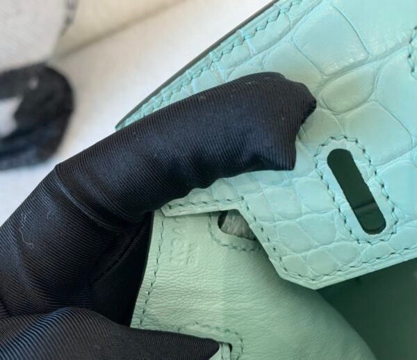 wsxc1767828241007_7 Full Handmade Original Packaging Birkin 20 6U Vert Dfau Matte Alligator Silver Hardware