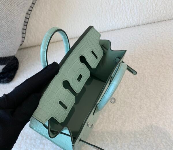 wsxc1767828241713_8 Full Handmade Original Packaging Birkin 20 6U Vert Dfau Matte Alligator Silver Hardware