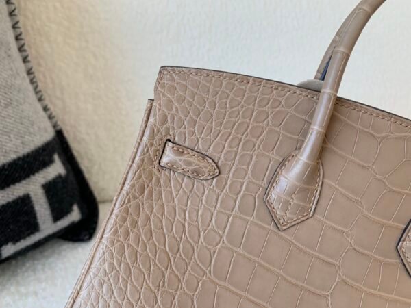 wsxc1768311216785_3 Birkin 25CM 0M Chai Ladies Handbag America Alligator Global Shipping