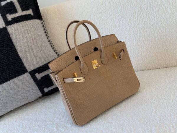 wsxc1768311216785_8 Birkin 25CM 0M Chai Ladies Handbag America Alligator Global Shipping