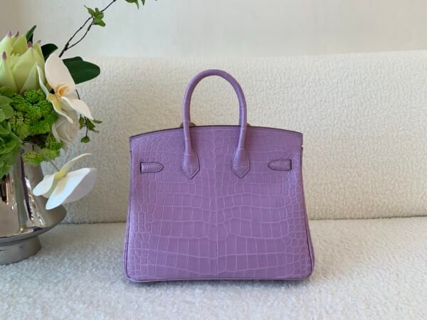 Birkin 25CM X9 Mauve Sylvestre Ladies Handbag Porosus Leather SHW