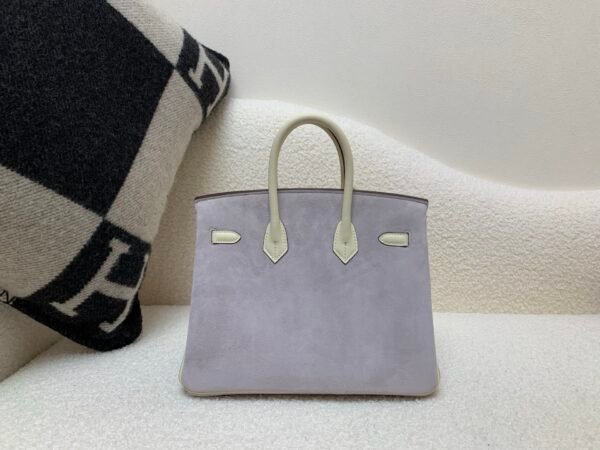 Birkin 25cm X9 Mauve Sylvestre Suede 10 Carie Swift Leather SHW Whole Shipping