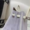Birkin 25cm X9 Mauve Sylvestre Suede 10 Carie Swift Leather SHW Whole Shipping