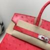 wsxc1769444849854_2 Global Shipping Birkin 25CM A5 Bougainvillea Ostrich Leather Rose Gold Hardware
