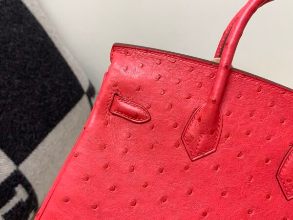 wsxc1769444849854_3 Global Shipping Birkin 25CM A5 Bougainvillea Ostrich Leather Rose Gold Hardware