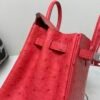 wsxc1769444849854_5 Global Shipping Birkin 25CM A5 Bougainvillea Ostrich Leather Rose Gold Hardware