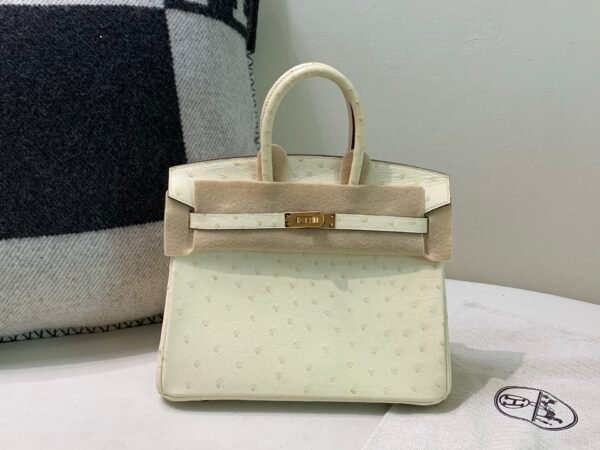 Top Quality Birkin 25CM i2 Nata Ostrich Leather Gold Hardware